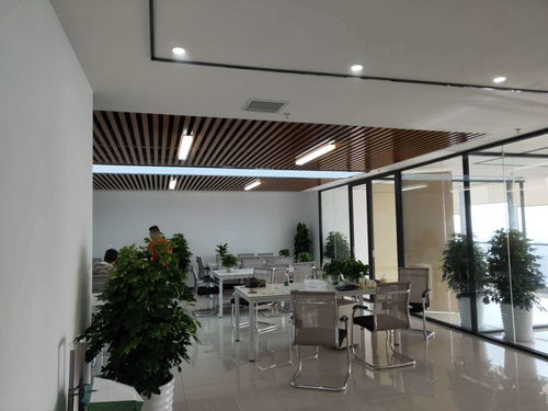 心所向，行至高——賀大城小屋昆明分公司盛大開業，開啟房屋托管新篇章